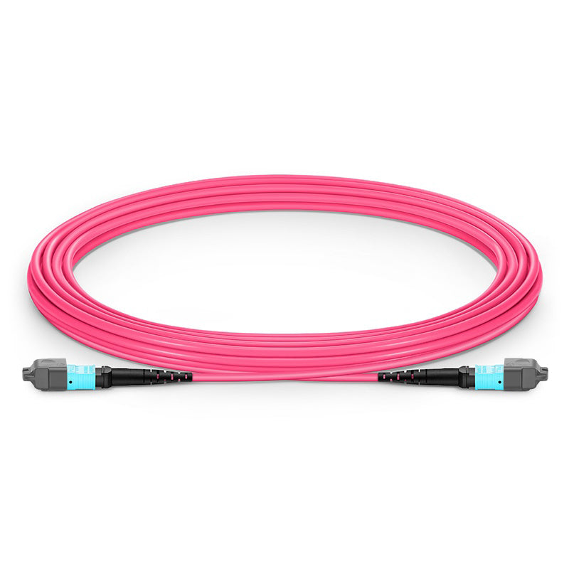 5m (16ft) MTP-12 (Female) to MTP-12 (Female) OM4 Multimode Elite Trunk Cable, 12 Fibers, Type A, Plenum (OFNP), Magenta
