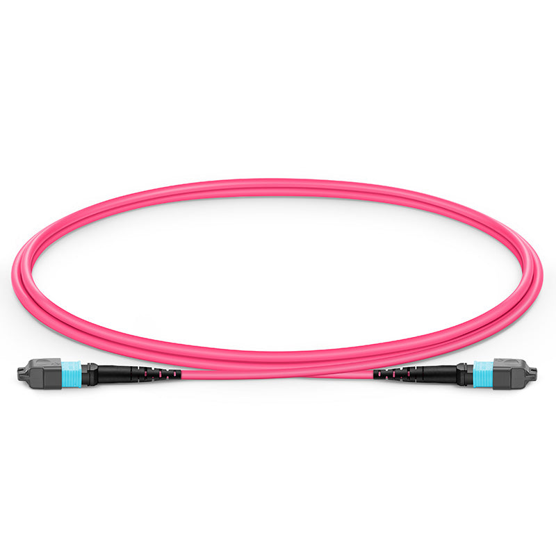 1m (3ft) MTP-12 (Female) to MTP-12 (Female) OM4 Multimode Elite Trunk Cable, 12 Fibers, Type B, Plenum (OFNP), Magenta
