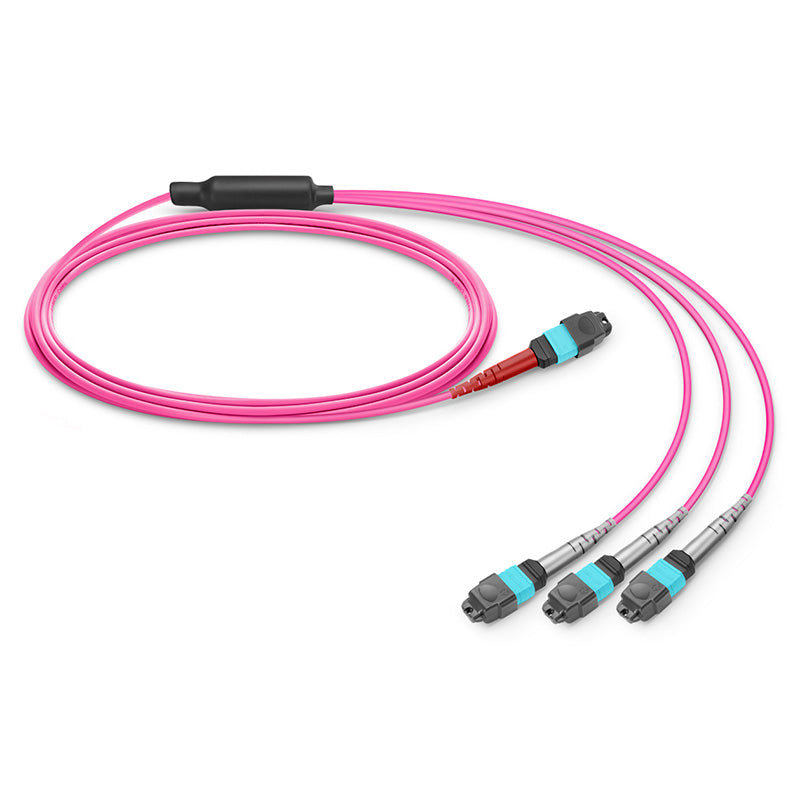 1m (3ft) MTP-24 (Female) to 3 x MTP-8 (Female) OM4 Multimode Conversion Harness Cable, 24 Fibers, Type B, Plenum (OFNP), Magenta