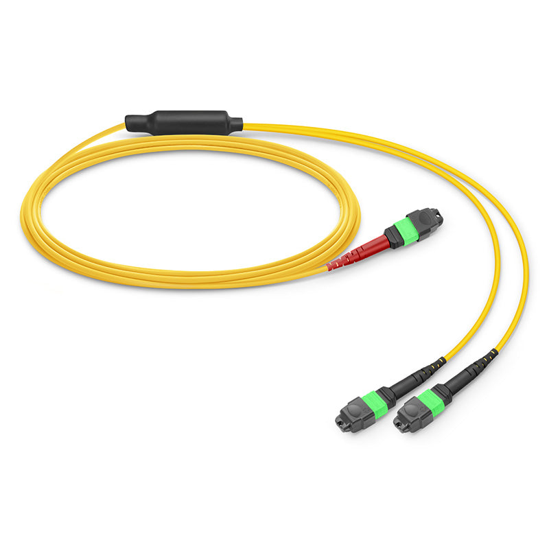 1m (3ft) MTP-24 (Female) to 2 x MTP-12 (Female) OS2 Single Mode Conversion Harness Cable, 24 Fibers, Type A, Plenum (OFNP), Yellow