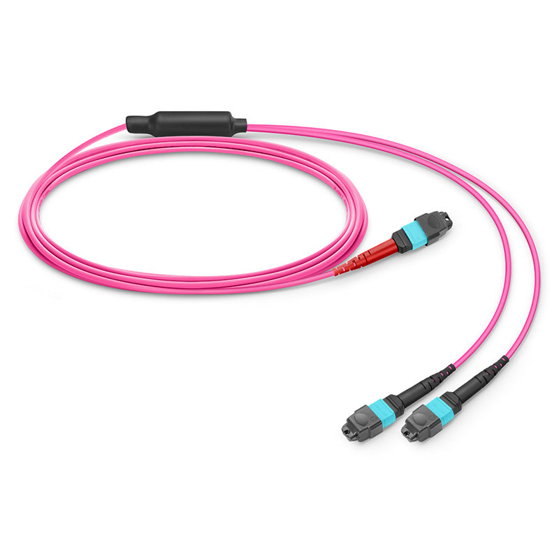 1m (3ft) MTP-24 (Female) to 2 x MTP-12 (Female) OM4 Multimode Conversion Harness Cable, 24 Fibers, Type A, Plenum (OFNP), Magenta