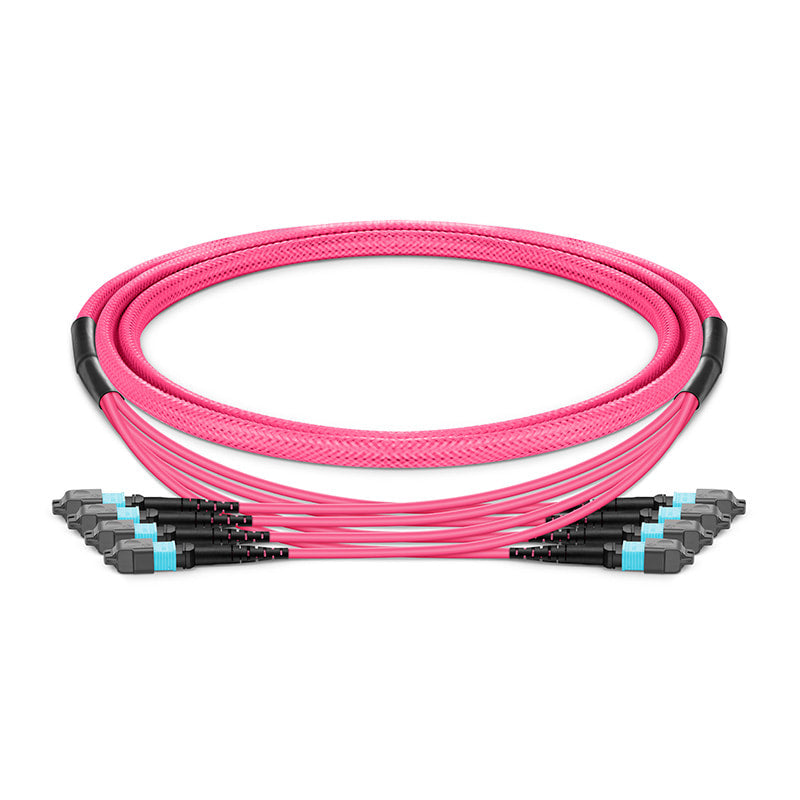 MTP-12 (Male) to MTP-12 (Male) OM4 Multimode Elite Trunk Cable, 48 Fibers (4x 12F), Type B, Plenum (OFNP), Magenta