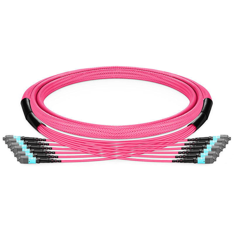 MTP-12 (Male) to MTP-12 (Male) OM4 Multimode Elite Trunk Cable, 72 Fibers (6x 12F), Type B, Plenum (OFNP), Magenta