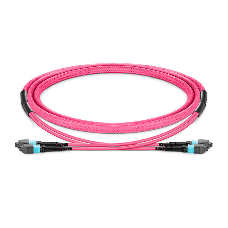 MTP-12 (Female) to MTP-12 (Female) OM4 Multimode Elite Trunk Cable, 24 Fibers (2x 12F), Type A, OFNP/LSZH, Magenta