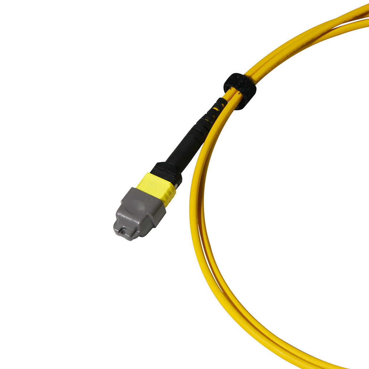 MTP Elite/APC to CS, OS2 Singlemode 9/125 Micron, 8 Fiber,Breakout Cable