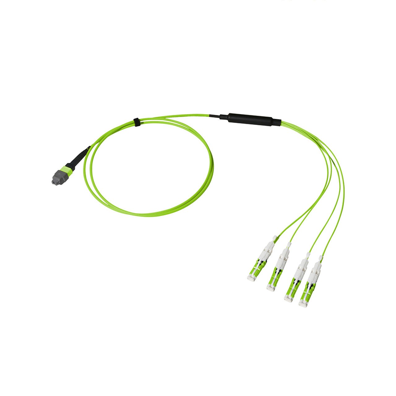 MTP Elite/UPC to CS,  OM5 Multimode 50/125 Micron, 8 Fiber, Breakout Cable