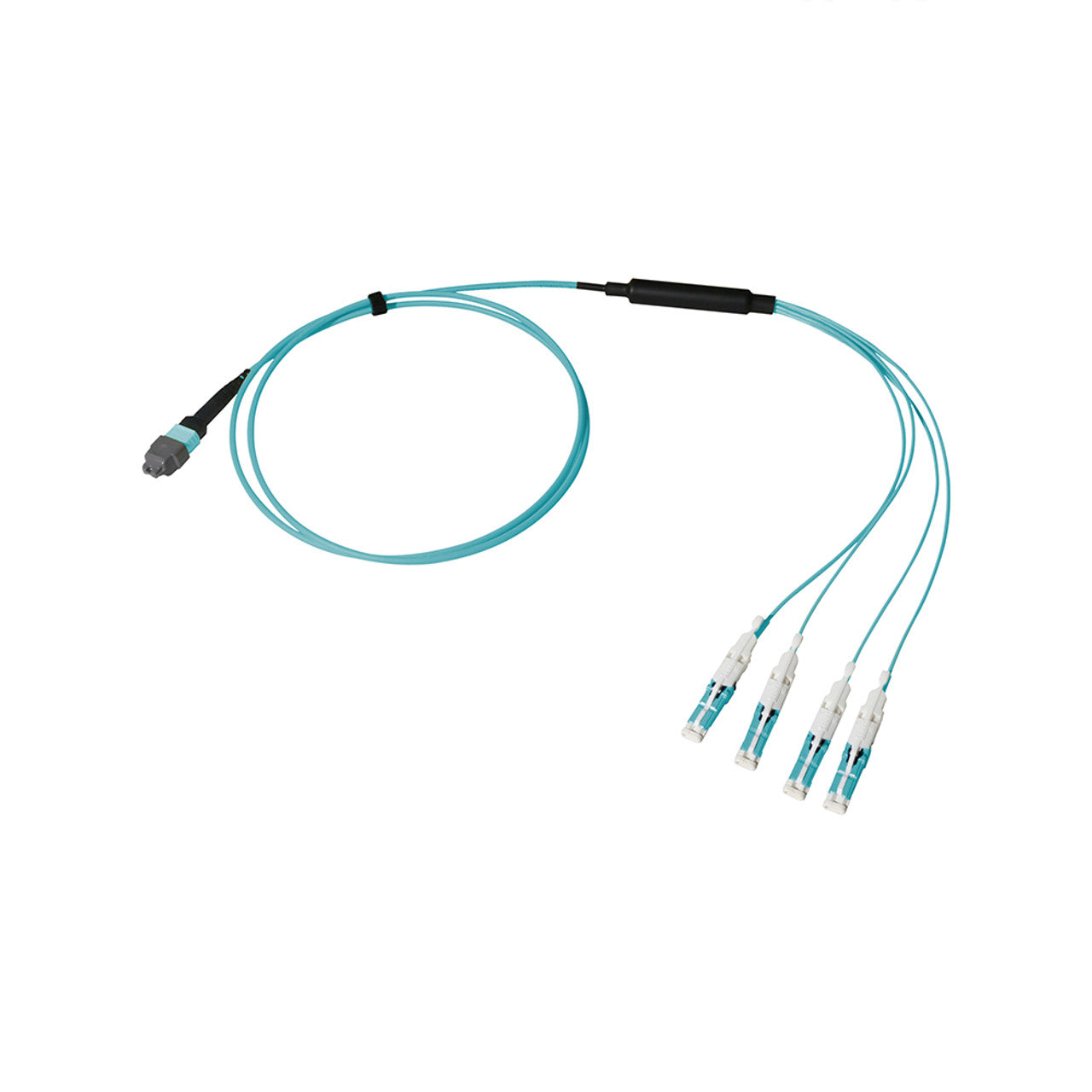 MTP Elite/UPC to CS, OM3 Multimode 50/125 Micron, 8 Fiber, Breakout Cable