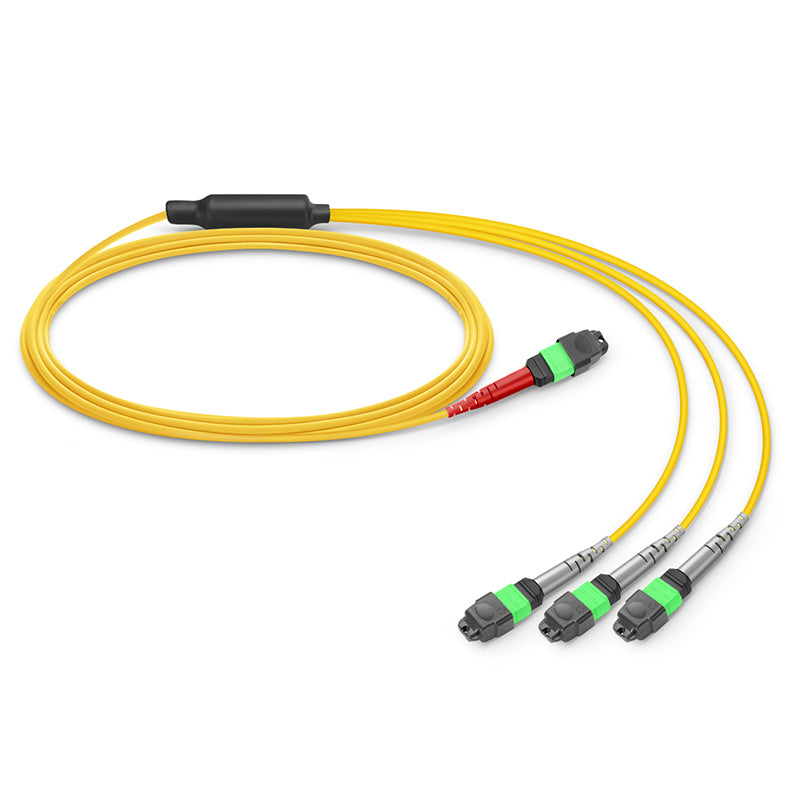 1m (3ft) MTP-24 (Female) to 3 x MTP-8 (Female) OS2 Single Mode Conversion Harness Cable, 24 Fibers, Type B, Plenum (OFNP), Yellow