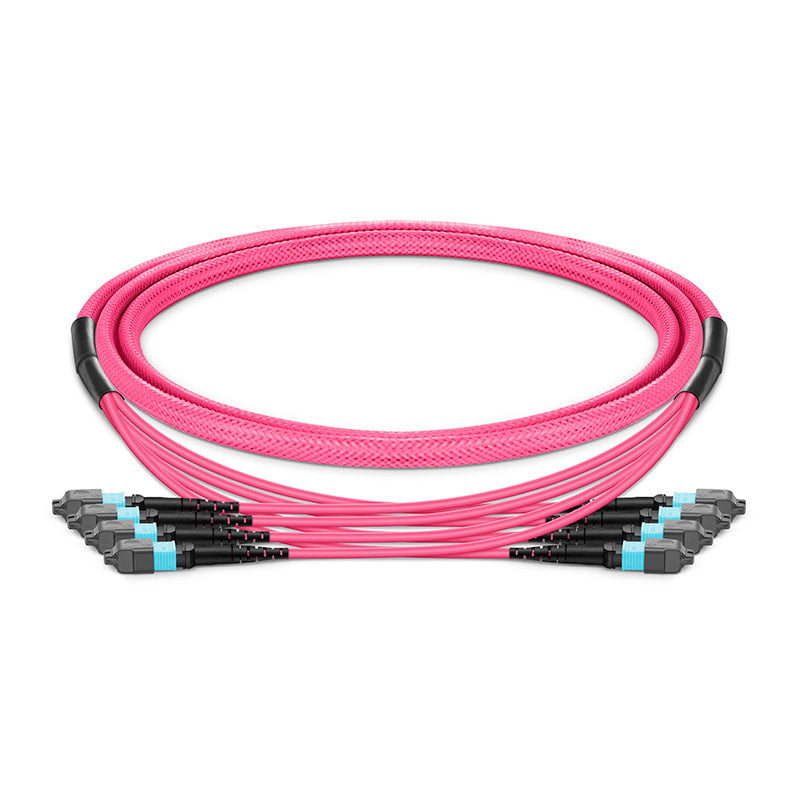 10m (33ft) MTP-12 (Male) to MTP-12 (Male) OM4 Multimode Elite Trunk Cable, 48 Fibers (4x 12F), Type B, Plenum (OFNP), Magenta