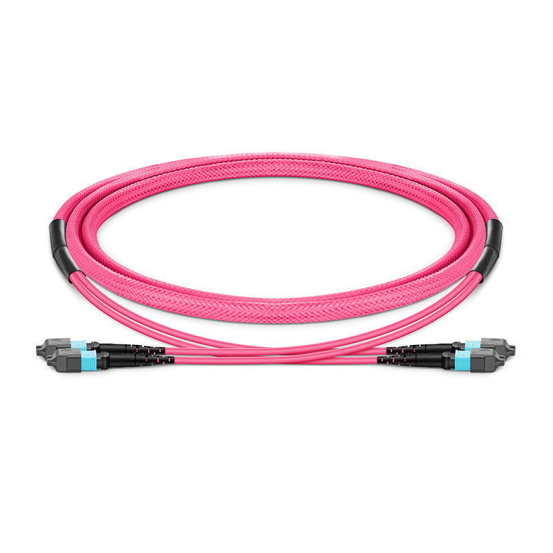 10m (33ft) MTP-12 (Female) to MTP-12 (Female) OM4 Multimode Elite Trunk Cable, 24 Fibers (2x 12F), Type A, LSZH, Magenta