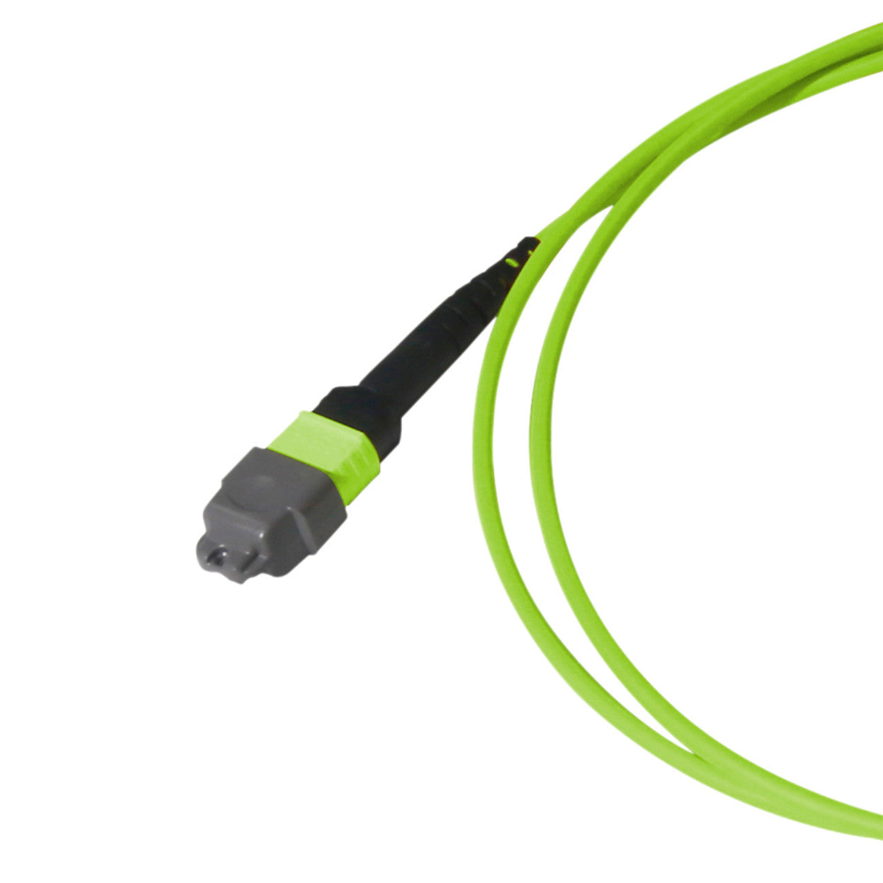 MTP Elite/UPC to CS,  OM5 Multimode 50/125 Micron, 8 Fiber, Breakout Cable